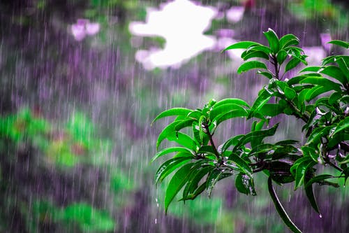 飘香剑雨电影